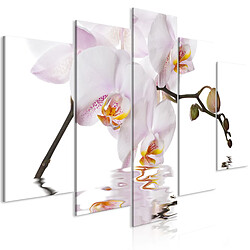 Artgeist Tableau - Delightful Orchid (5 Parts) Wide [100x50]