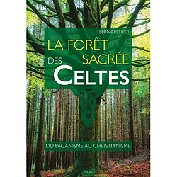 La forêt sacrée des Celtes : du paganisme au christianisme