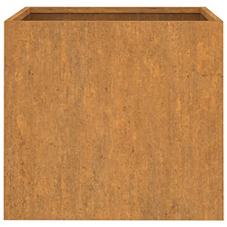 Acheter vidaXL Jardinière 42x40x39 cm acier corten