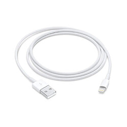 Cable Lightning Longeur 1M Couleur Blanc Pour iPhone SE 2020 / X / Xr / 11 / 12 Little Boutik®