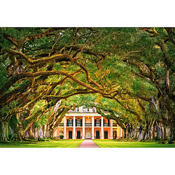 Oak Alley Plantation, Puzzle 1000 Teile - Castorland pas cher