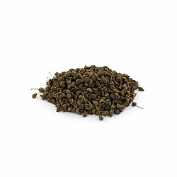 Aromandise Graines d'Anis bio à semer - 50 g