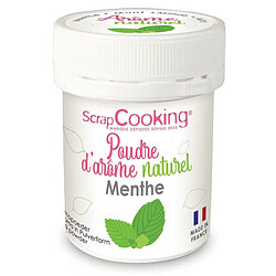 Scrapcooking Arôme alimentaire naturel en poudre 15 g - Menthe