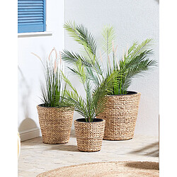 Beliani Lot de 3 pots de fleurs PLAKA Osier Naturel