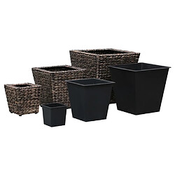 Avis vidaXL Lits surélevés 3 pcs Jacinthe d'eau Marron