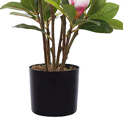 Acheter Beliani Plante artificielle MAGNOLIA 70 cm