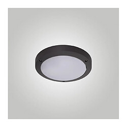 Avis Luminaire Center Applique de jardin Daru 1 ampoule Anthracite