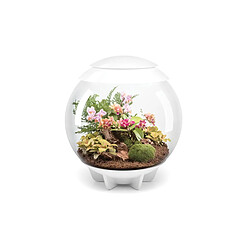 Terrarium décoratif 60l avec cadre blanc - Air 60 white - OASE