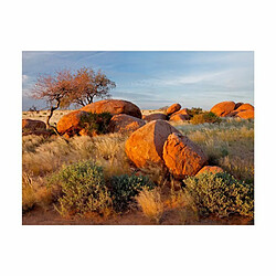 Paris Prix Papier Peint Paysage Africain, Namibie 154 x 200 cm