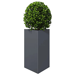 Avis vidaXL Jardinières 2 pcs anthracite triangulaire 50x43x75 cm acier