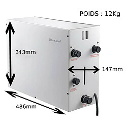 Desineo [9Kw] Steamplus Générateur de vapeur pour Hammam à usage domestique vidange automatique