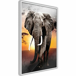 Paris Prix Affiche Murale Encadrée Majestic Elephant 20 x 30 cm Blanc