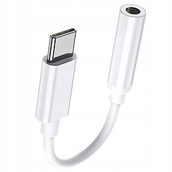 GUPBOO Adaptateur pour casque Micro USB Type-C vers Jack 3,5 mm,JL2390