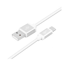 Cle USB - USB C cle 2 m silver