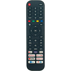 SANAG En2H30H Remplacement De La Telecommande Compatible Avec Hisense Tv 32A4Fg 43Ae7210F