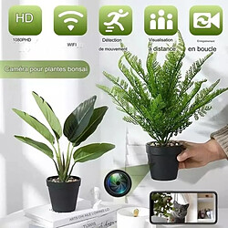 Avis Totalcadeau Pot De plante Artificielle caméra espion WIFI HD 1080P avec son