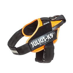 Acheter Harnais pour Chien Julius K9 IDC Orange L/XL 2 71-96 cm