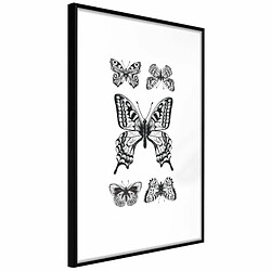 Paris Prix Affiche Murale Encadrée Butterfly Collection IV 20 x 30 cm Noir