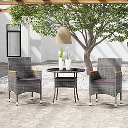 Maison Chic Mobilier à dîner 3 pcs de jardin - Ensemble table et chaises d'extérieur - Salon/Mobilier de jardin classique Résine tressée Gris -MN20607