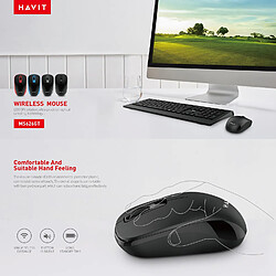 HAVIT MS626GT Souris bureautique sans fil 2,4 Ghz - 3 boutons - Portée 10 mètres - Nano récepteur