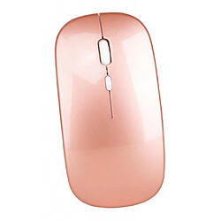 Acheter Mini récepteur optique sans fil USB rechargeable de souris de jeu pour PC or rose