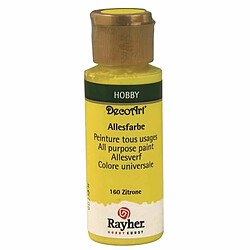 Rayher Peinture acrylique tous usages mat 59 ml - Jaune clair