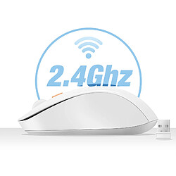 Acheter LinQ Souris Sans Fil Bluetooth ou WiFi 2.4Ghz Précision et Confort Blanc