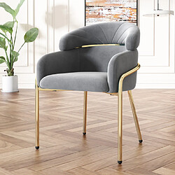 ComfortXL Chaise de Salle à Manger en Velours, Design Luxueux, Système à Quatre Pieds Métalliques, Gris