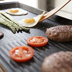 Avis Cecotec Plancha électrique Tasty&Grill 3000 RockWater L