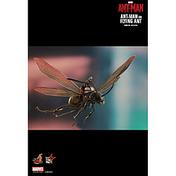 Avis Hot Toys MMSC003 - Marvel Comics - Ant-Man - Ant-Man On Flying Ant