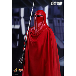 Acheter Hot Toys MMS469 - Star Wars 4 : Return Of The Jedi - Royal Guard