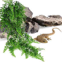 Avis Universal Reptiles, plantes, plastique, verre, barbe, dragon, lézard, gecko, serpent, pot.