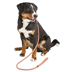 Avis Kerbl Maxi Safe Laisse de Promenade pour Chien Orange Néon 170 cm