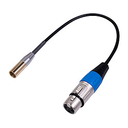 Câble Audio Mini XLR Mâle Vers XLR Femelle 3 Broches Pour Microphones Et Tables De Mixage 0,3 M