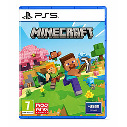 Jeu vidéo PlayStation 5 Sony MINECRAFT