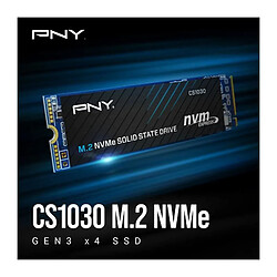 Disque SSD Interne - PNY - CS1030 M.2 GEN3 - 250 Go - NVMe M280CS1030-250-RB pas cher