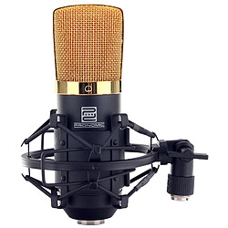 Microphone de chant