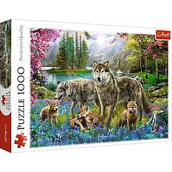 Puzzle adulte Trefl