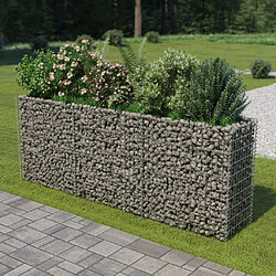 Maison Chic Jardinière,Lit surélevé - Bac à fleurs - pot de fleur à gabion Acier galvanisé 270x50x100 cm -GKD44378