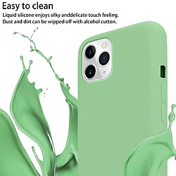 Avis Cadorabo Etui iPhone 11 PRO MAX Coque en Vert