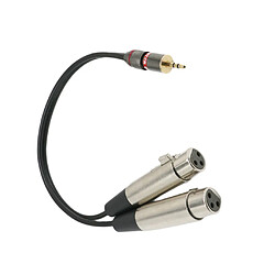 Câble d'Extension Stéréo Mini Jack Audio 3.5mm à Double XLR Femelles