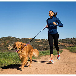 Halti All-in-One Lead Laisse avec Bande Réfléchissante pour Chien Noir Taille L