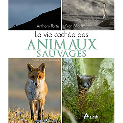 La vie cachée des animaux sauvages - Occasion