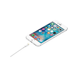 Avis Apple Câble Lightning MD818ZM/A USB-A 2.0 1m Blanc