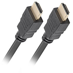 Avis Câble vidéo HDMI-A mâle 1.4 4K Lanberg 3m