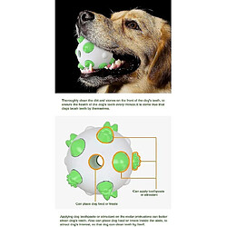 Avis Jouet Pour Chien De Compagnie Nettoyage Des Dents Jouet à Mâcher à Boule Ronde Pour Mâcheurs Agressifs Jouet à Mâcher Interactif Indestructible Pour Chien De Grande Taille Décompression De L'Ennui