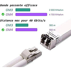 Avis Elfcam Câble à Fibre Optique LC/UPC à LC/UPC OM4 Multimode Duplex, Jarretière Fibre Optique 50/125um LSZH (20M)