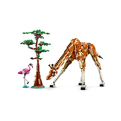 Avis Lego 31150 Les Animaux Sauvages du Safari 3 en 1 Multicolore