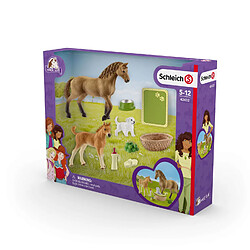 Schleich Set de figurines et accessoires - Les soins pour bébé animaux d'Horse Club Sarah