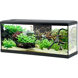 ZOLUX Kit aquarium Tana 120L noir.